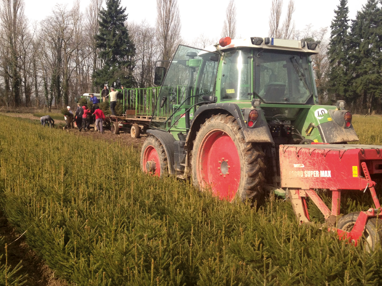 Traktor im Feld